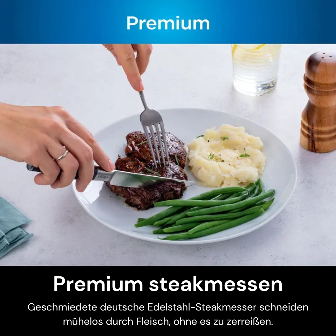 Ninja NeverDull Messersystem – Premium 12-teiliges Set