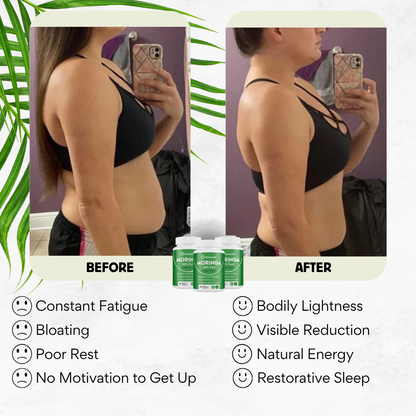 Rosabella Moringa™ - Regain Your Vitality